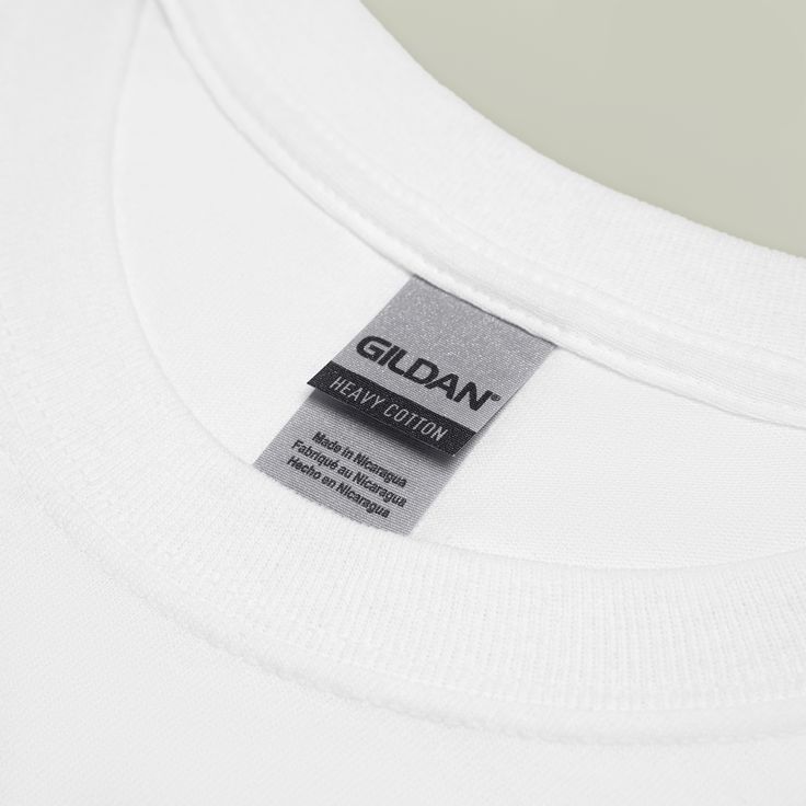 Deftones private music Snake T-Shirt